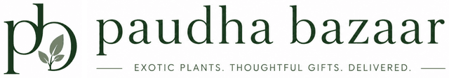 PaudhaBazaar