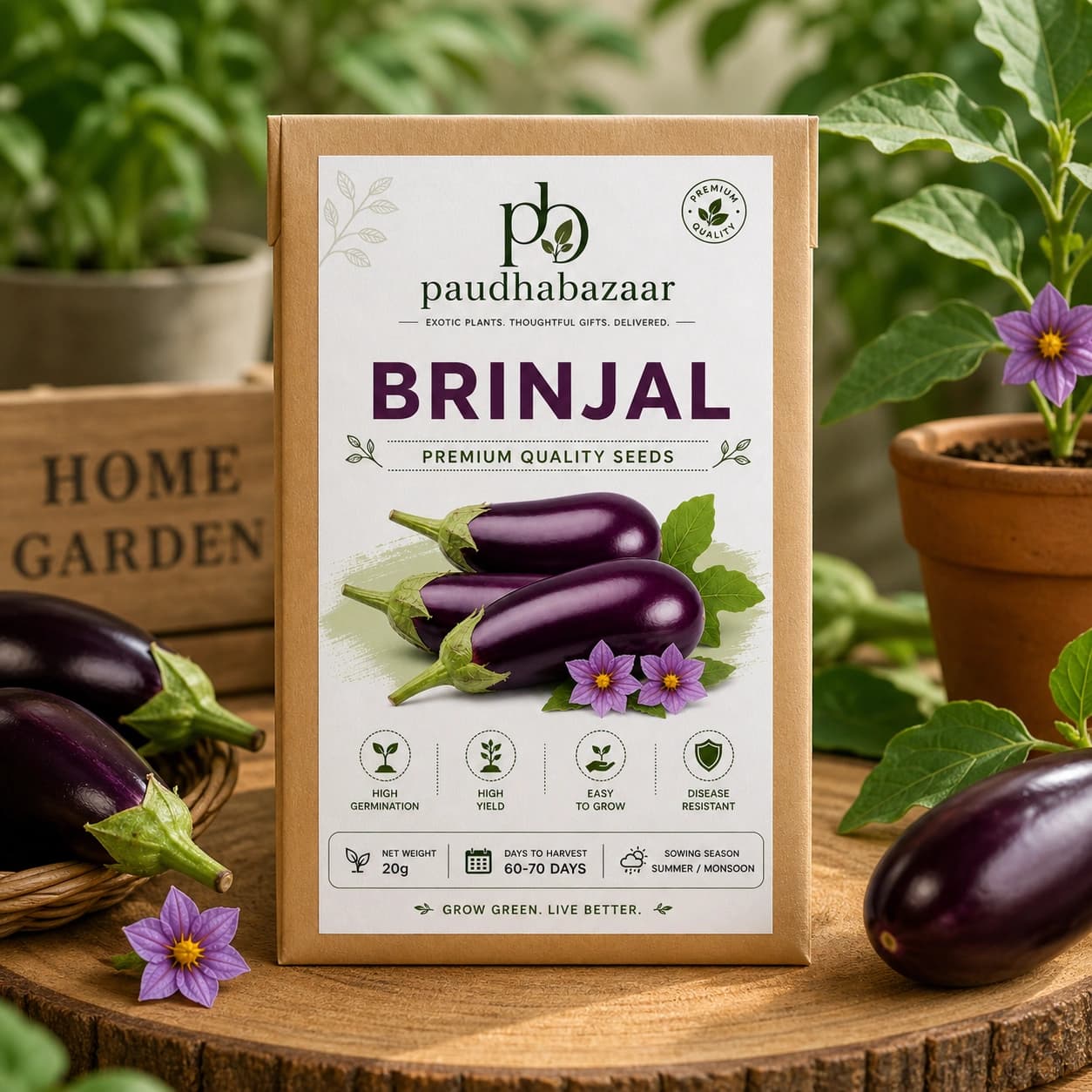 Premium Brinjal Seeds for Home Gardening
