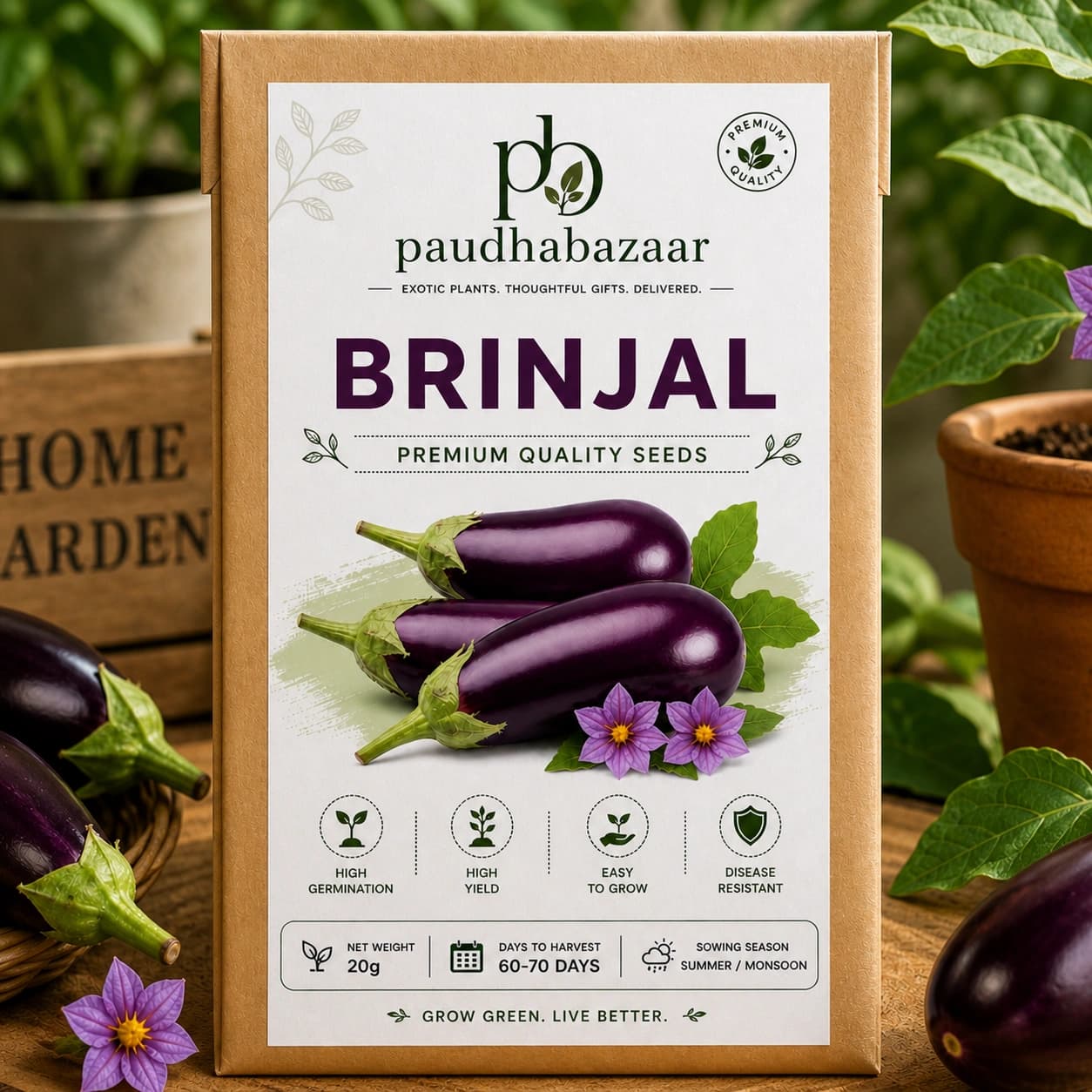 Premium Brinjal Seeds for Home Gardening